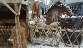 Jarmarky Fotogalerie našich jarmarků 